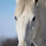 20210214135915_IMG_3119