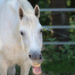 20230820104400_IMG_4691