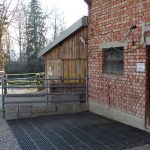 20250222154648_IMG_5617