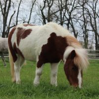 5b52e81d-d7bd-4060-b78d-21eedbd5ff0d