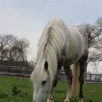 77360858-2384-4d26-8a23-2710795b3273